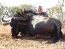 blue-wildebeest-03.jpg