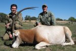 scimitar-horned-oryx-01.jpg