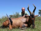 red hartebeest.jpg