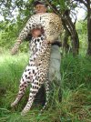 Leopard pic.jpg