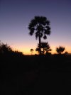 Palmwag sunset.jpg