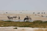 Etosha saltpan.jpg