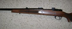 remington-375-02.jpeg