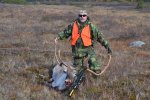 Caribou Hunt 2015 059_zpsxzettxjc.jpg