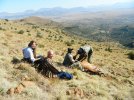 Red Hartebeest field dressing.JPG