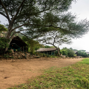 Scenery Tanzania