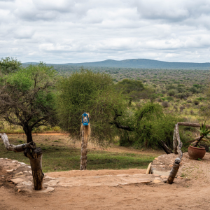 Scenery Tanzania