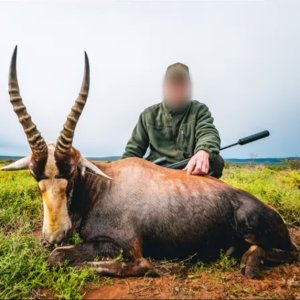 Eastern Cape Plains Game Packages - 2024 | Hunting South Africa