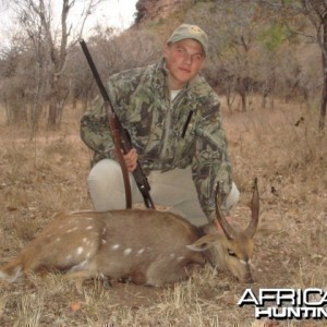 Bushbuck