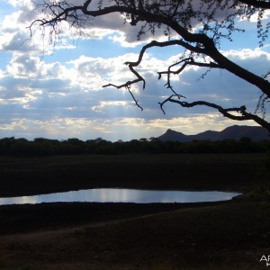 Africa Namibia Waterhole