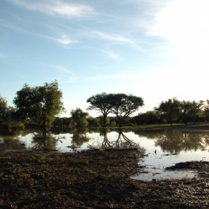Africa Namibia Waterhole Raining Season
