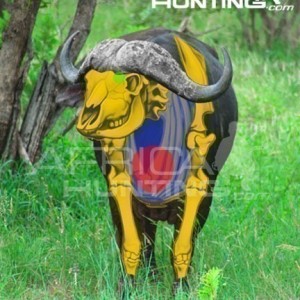 Bowhunting Buffalo Front View Shot Placement