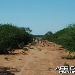 Hunting in Namibia