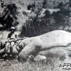 Africa Big Game Hunting Selous Karamojo Bell