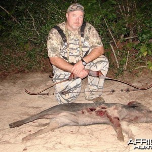 Hog Bowhunting