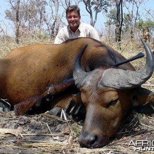Hunting West African Savannah Buffalo