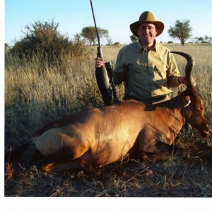 Red Hartebeest Namibia