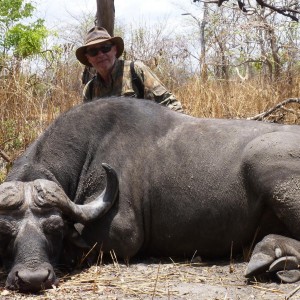 Buffalo hunted in the Selous, Tanzania