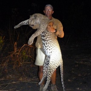 Old Leopard hunted in the Selous, Tanzania