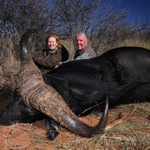 Big Buffalo hunted in Namibia on the Waterberg Plateau
