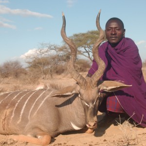 Hunting Lesser Kudu