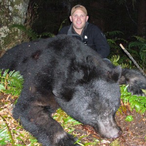 Black Bear