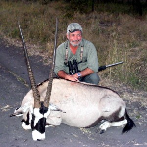 Gemsbok 35 Limpopo 2010