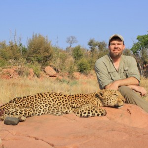Hunting Leopard