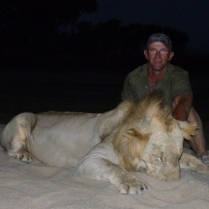 Hunting Lion Tanzania