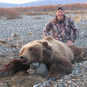 Hunting Alaskan Brown Bear