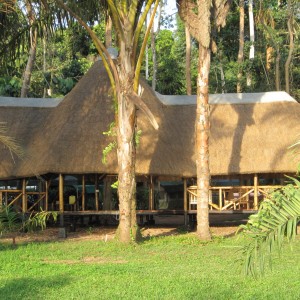 Hunting in Uganda at Lake Albert Safari Lodge