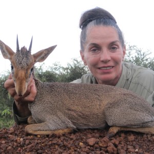 hunting Gunther's Dik-Dik Uganda