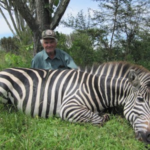 Hunting Zebra Uganda