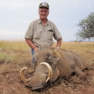 Hunting Warthog in Uganda