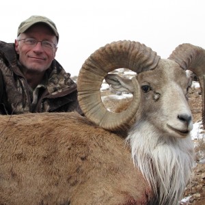 Hunting Urial in Iran