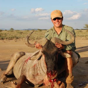 Wildebeest