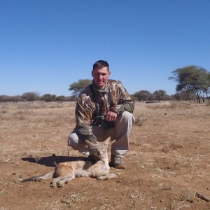 Hunting Black-backed in Namibia