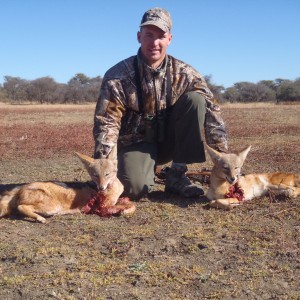 Hunting Black-backed Jackal in Namibia