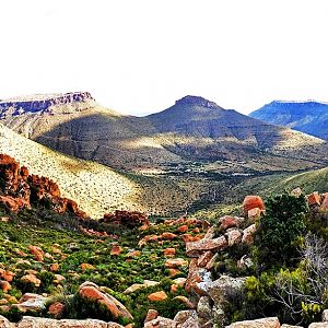 South Africa Hunting Area