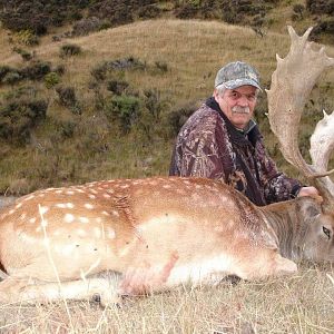 Fallow Deer Hunting New Zealand