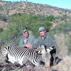 Hartmann's Mountain Zebra Hunting Namibia