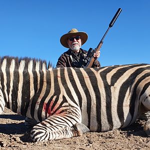 Burchell's Plain Zebra Hunting Free State South Africa