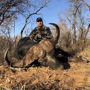 South Africa Bow Hunt Cape Buffalo