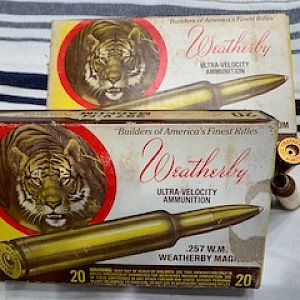 257 Weatherby Brass