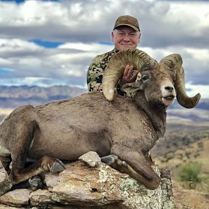 Hunt Desert Bighorn Sheep in Argentina