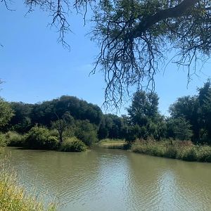 Fishing on the Mighty Limpopo river with Monterra Safaris