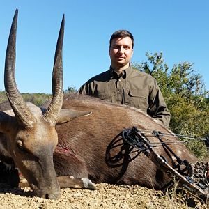 Bow Hunt Bushbuck South Africa