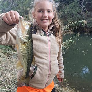 South Africa Fishing Bass