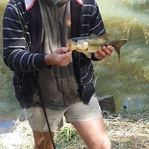 Fishing Bass in South Africa