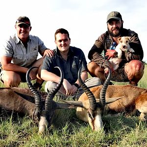 Hunting Black & Copper Springbok in South Africa